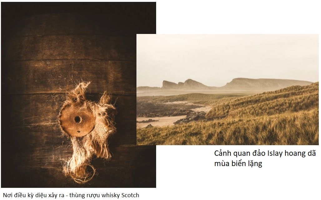 Islay Single Malt Whisky - Con Cưng Của Thế Giới Rượu Whisky 3 Những điều kiện tạo nên Whisky vùng Islay