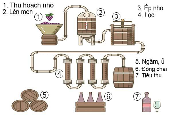 Quy trình làm rượu vang từ nông trại nho truyền thống
