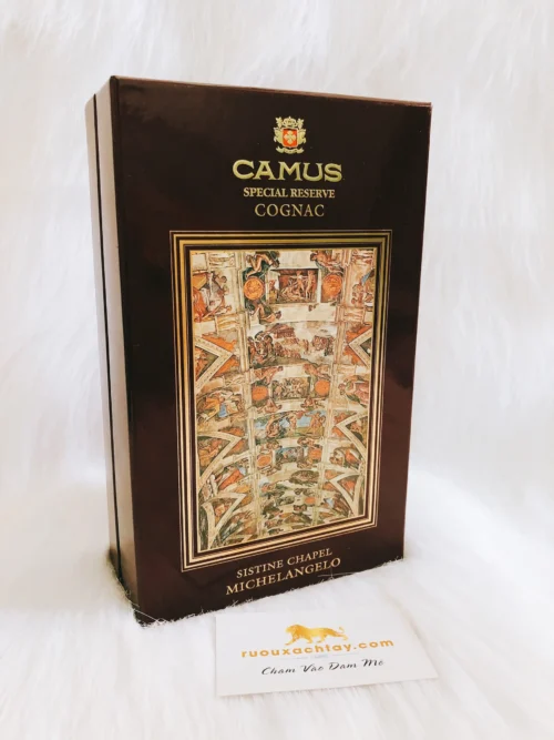 Camus Book Sistine Chapel Michelangelo