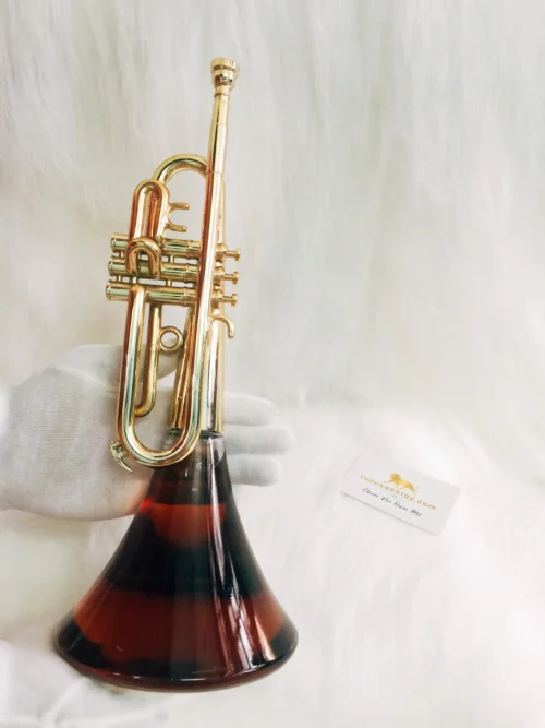 Suntory Nhạc Cụ - Trumpet
