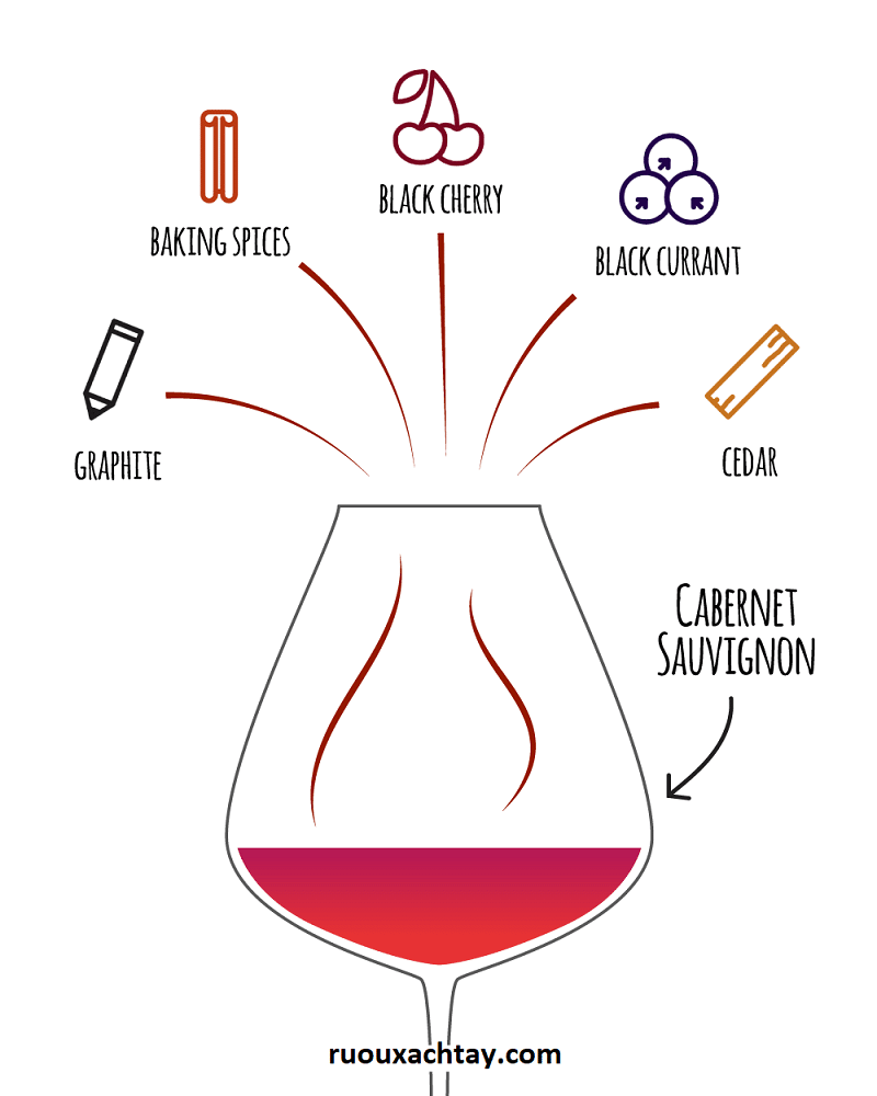 Hương Vị Rượu Vang: Những Gì Cần Biết 10 Ghi chú hương vị rượu vang Cabinet Sauvignon