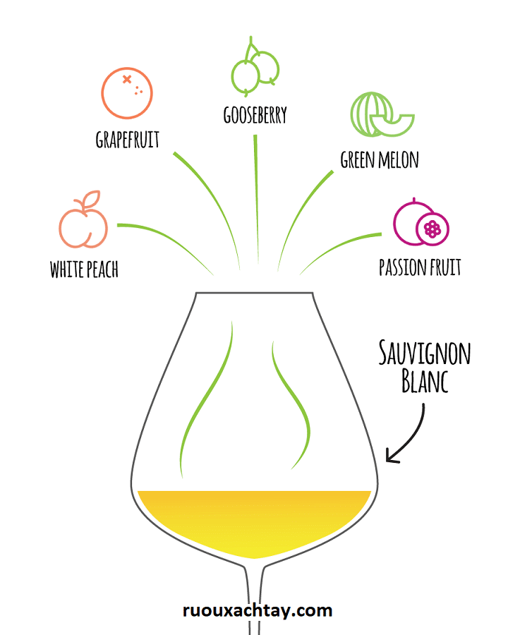 Hương Vị Rượu Vang: Những Gì Cần Biết 13 Ghi chú hương vị rượu vang Sauvignon Blanc