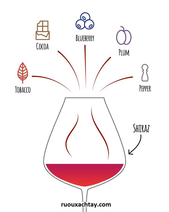 Hương Vị Rượu Vang: Những Gì Cần Biết 11 Ghi chú hương vị rượu vang Shiraz