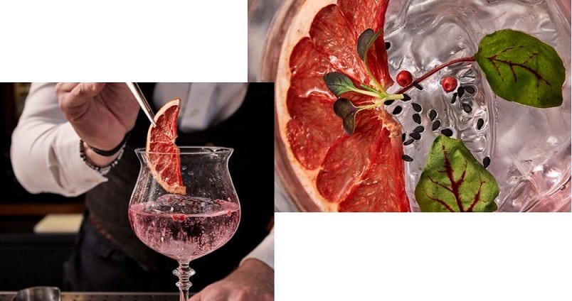 Sự Trỗi Dậy Không Thể Ngăn Cản Của Rượu Gin 7 Biến hoá từ rượu Gin 2