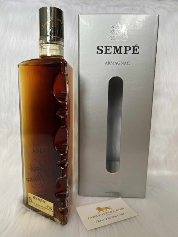 Rượu Armagnac Sempé Extra - Grande Reserve (6)