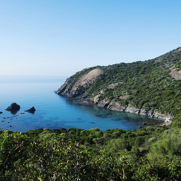 Vùng Rượu Vang Ý 6 Vùng rượu vang Ý - Sardinia