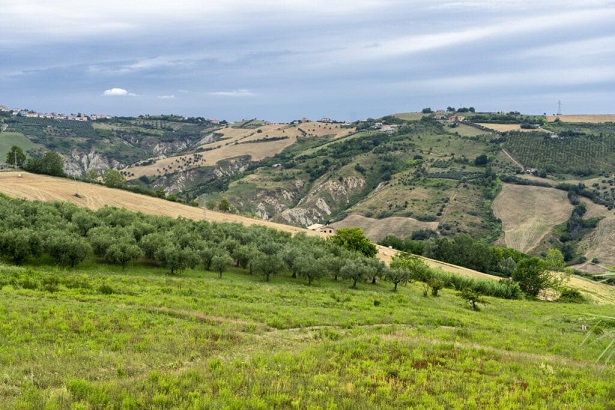 Vùng Rượu Vang Ý 4 Vùng rượu vang ý Abruzzo