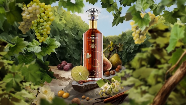 Martell Single Cru XO Grande Champagne 22 Martell Single Cru Collection - Vintage Edition