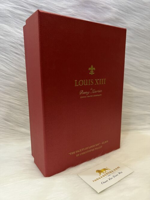 Set 2 Ly Remy Martin Louis XIII (2)