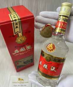 WuLiangYe Great Wall Premium Chinese Baijiu 1993 (1)