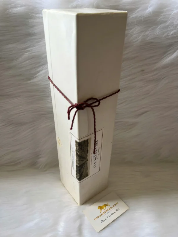 Splendor XO Limited Edition (2)
