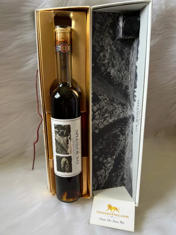 Splendor XO Limited Edition (3)