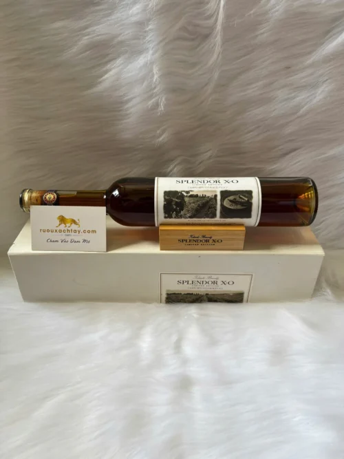 Splendor XO Limited Edition (4)