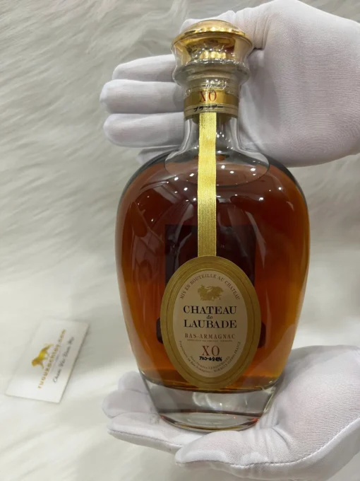 Bas Armagnac Chateau De Laubade XO (1)