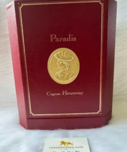 Hennessy Paradis 1990s Bottle 750ml (2)