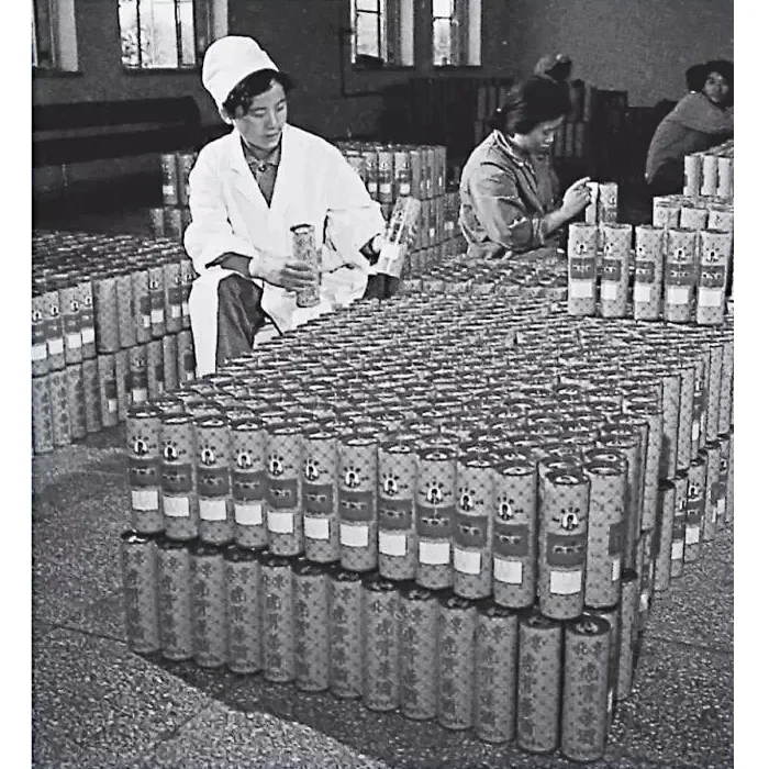 Khám Phá Rượu Xương Hổ Đồng Nhân Đường 9 Xưởng sản xuất rượu xương hổ Đồng Nhân Đường