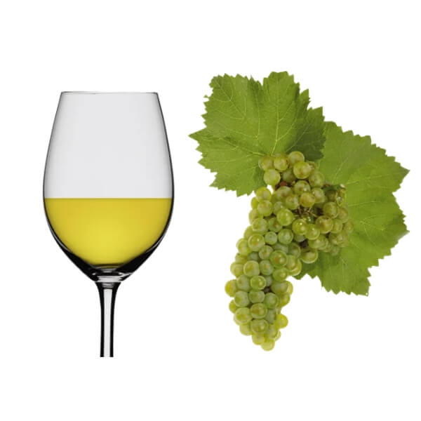Chardonnay