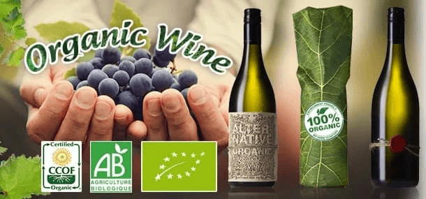 Rượu Vang Organic