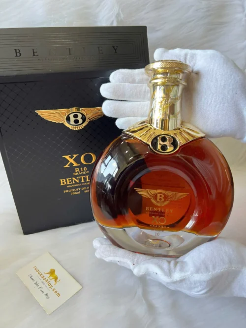 Camus Baccarat Silver 90 Brandy Bentley XO R10 Meaningful Collections (1)