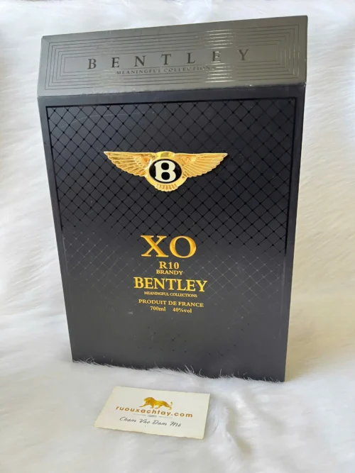 Brandy Bentley XO R10 Meaningful Collections (2)