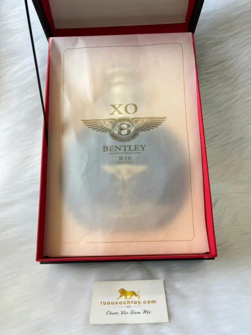 Brandy Bentley XO R10 Meaningful Collections (3)