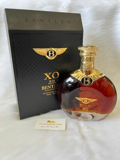 Brandy Bentley XO R10 Meaningful Collections (5)