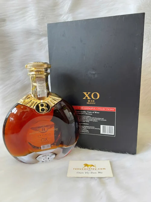 Brandy Bentley XO R10 Meaningful Collections (6)