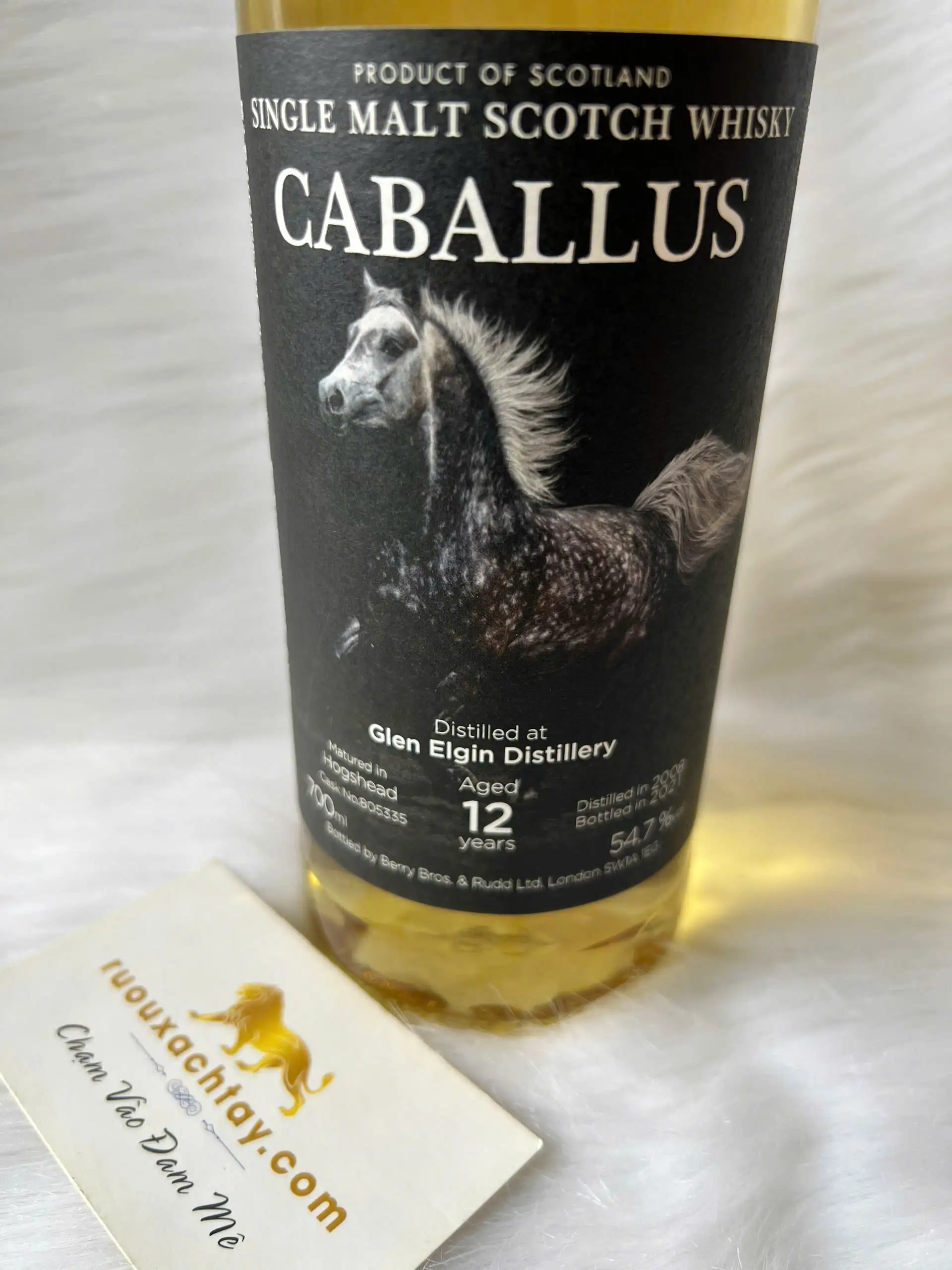 Caballus Single Malt Scotch Whisky - Glen Elgin 12 Year Old 54.7% 3 Caballus Single Malt Scotch Whisky - Glen Elgin 12 Year Old 54 (3)