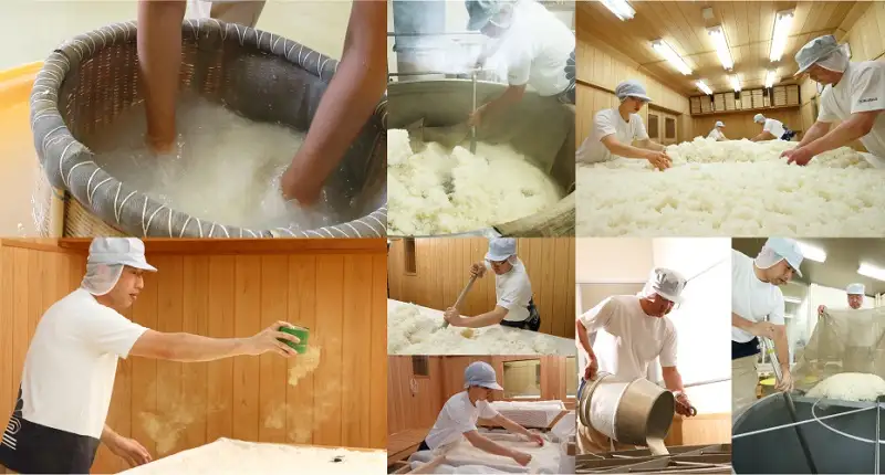 Sake Nhật Kikusui Kỷ Niệm Năm Dần 900ml 6 Nhà làm rượu sake Kikusui