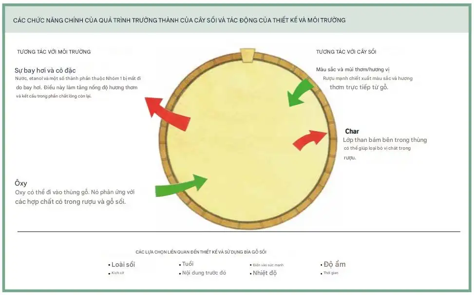 Cuộc Hội Thoại Giữa Rượu Và Gỗ