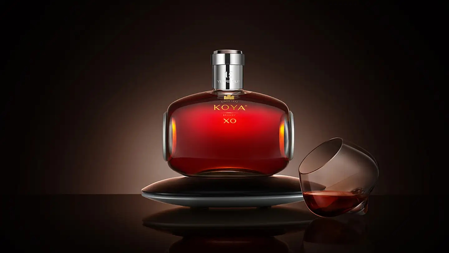 Koya XO 15 năm