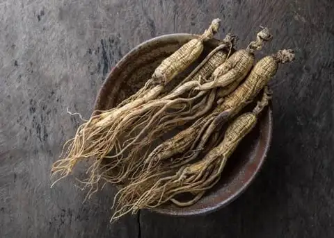 Nhân Sâm Núi Trường Bạch 6 ginseng_nhan_sam_nui_truong_bach